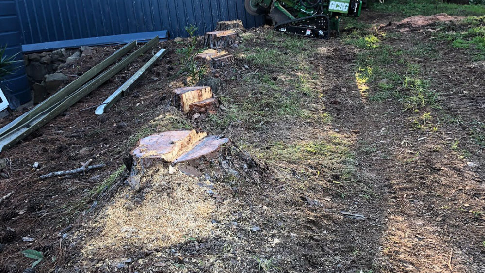 Stump Grinding, tree Stump removal gold coast, tree stump removal service