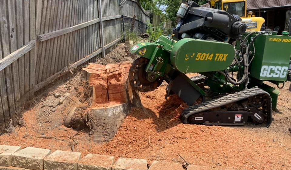 tree-stump-removal-tree-root-removal-by-grinding-gold-coast